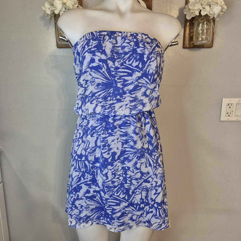 Express Tube Top Strapless Dress